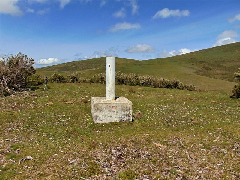 Tontorra