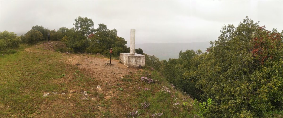 Tontorra
