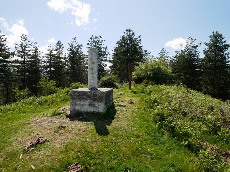 Tontorra