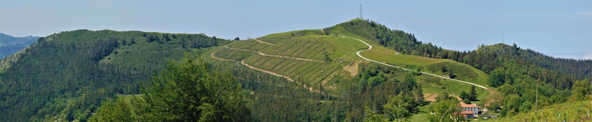 Otaerre