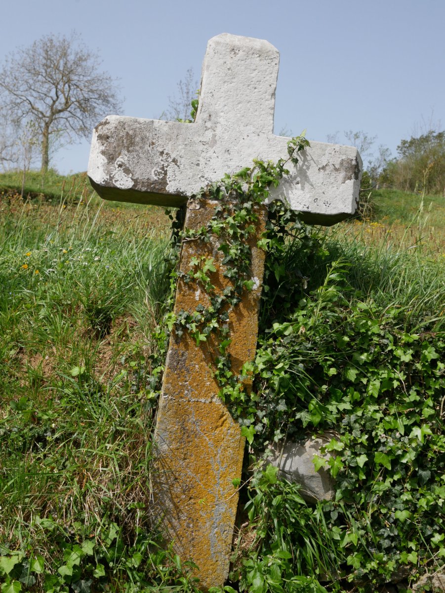 Gurutzea