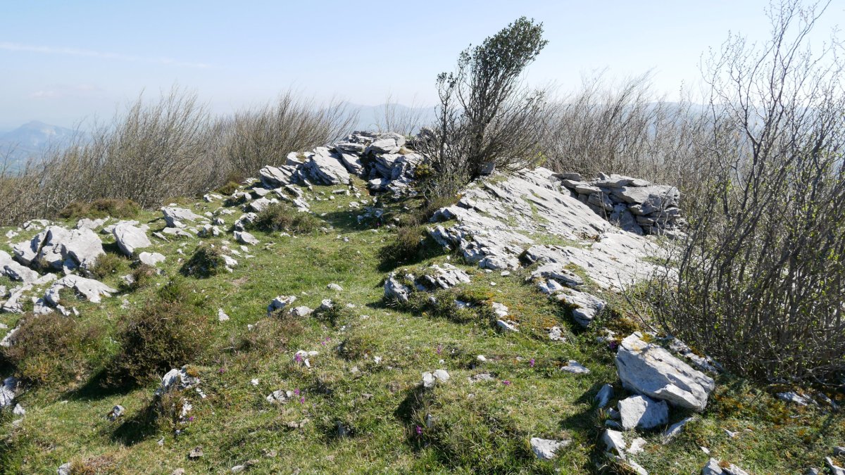 Pagandulgaña