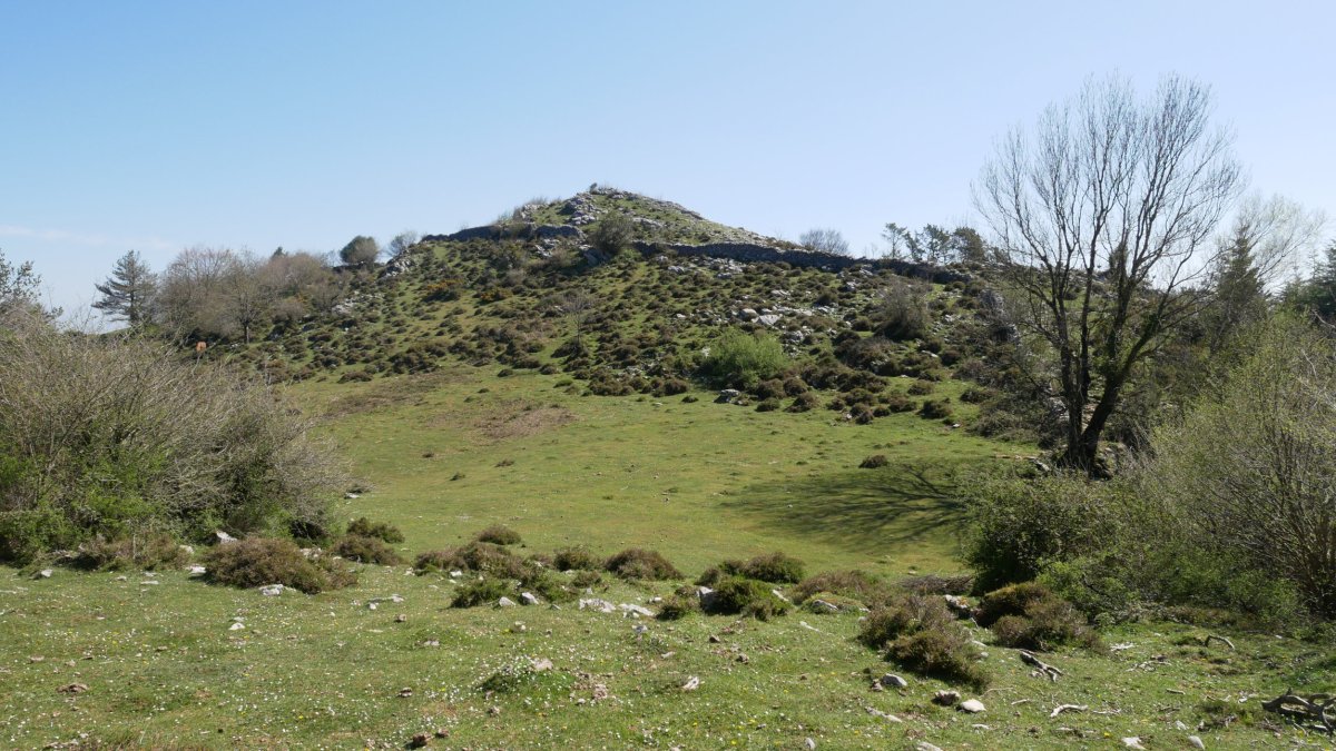 Pagandulgaña