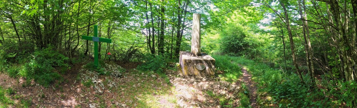 Tontorra