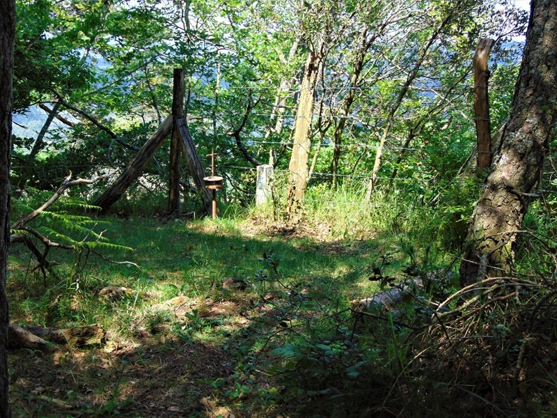 Buzoidun Tontorra