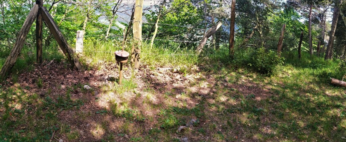 Buzoidun Tontorra