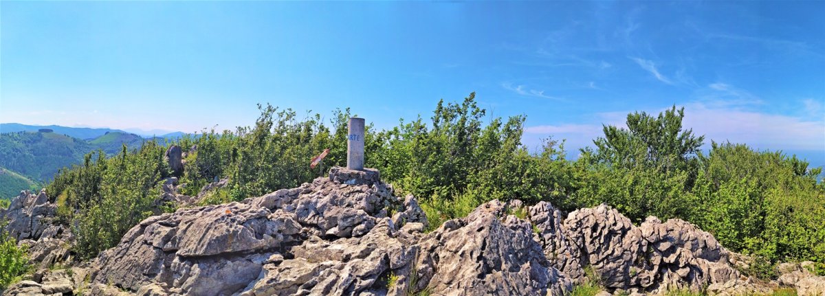 Tontorra