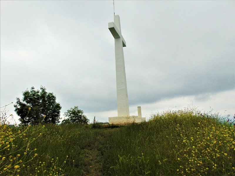Tontorra