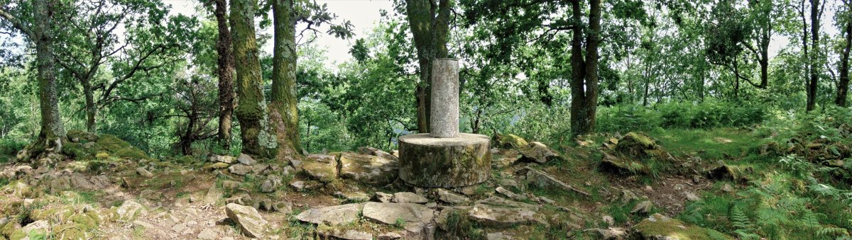 Tontorra