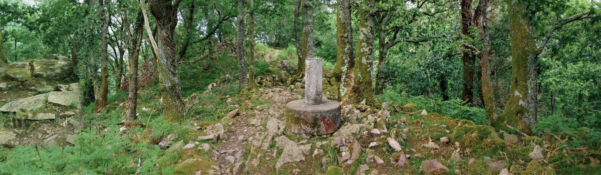 Tontorra
