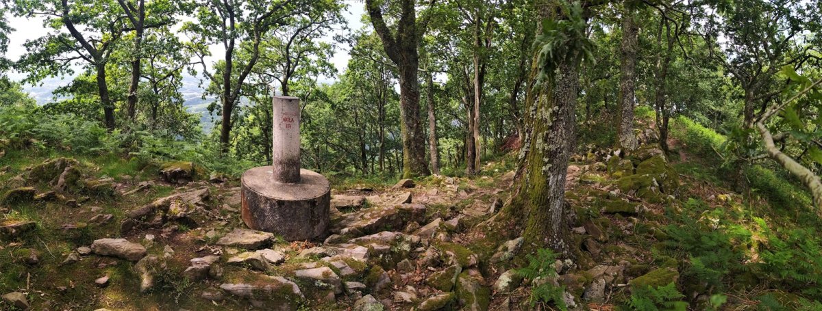 Tontorra