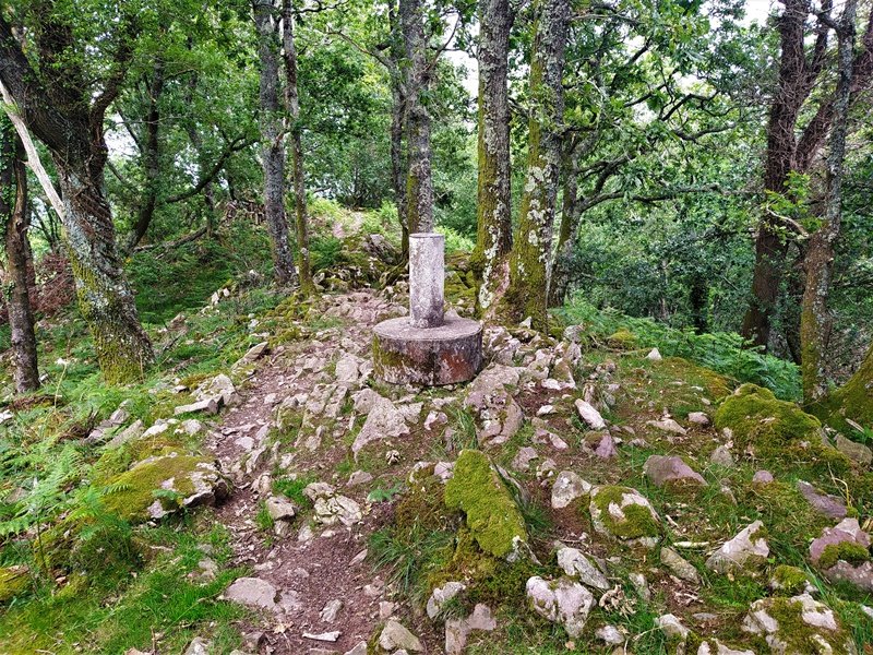 Tontorra