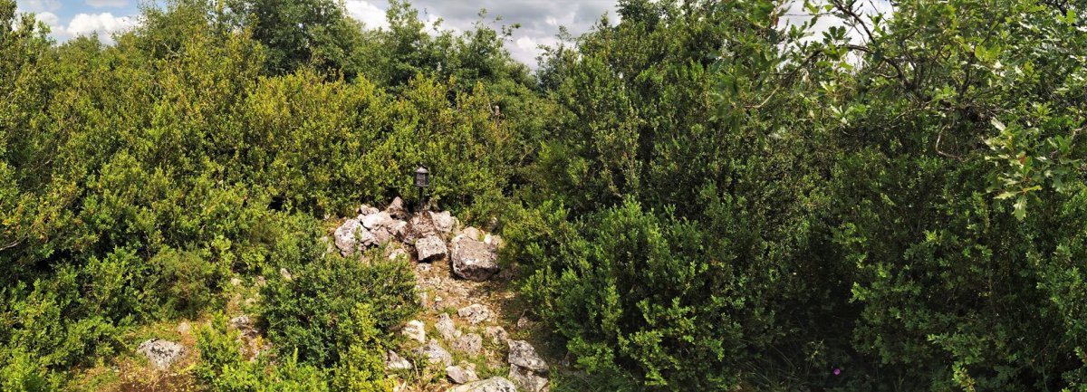 Tontorra
