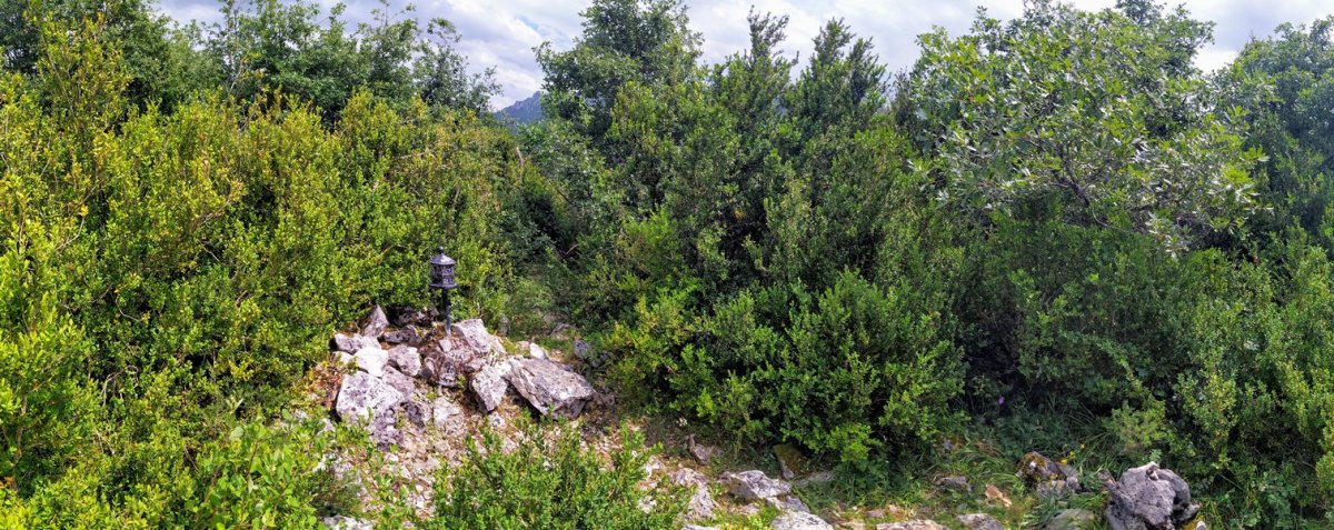 Tontorra