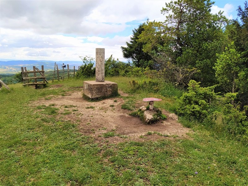Tontorra