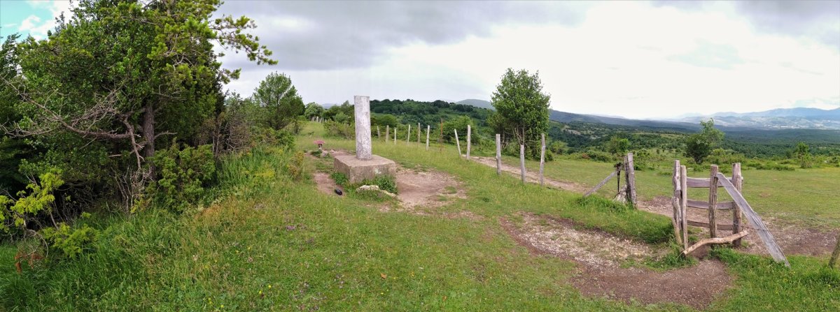 Tontorra