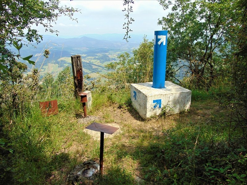 Tontorra