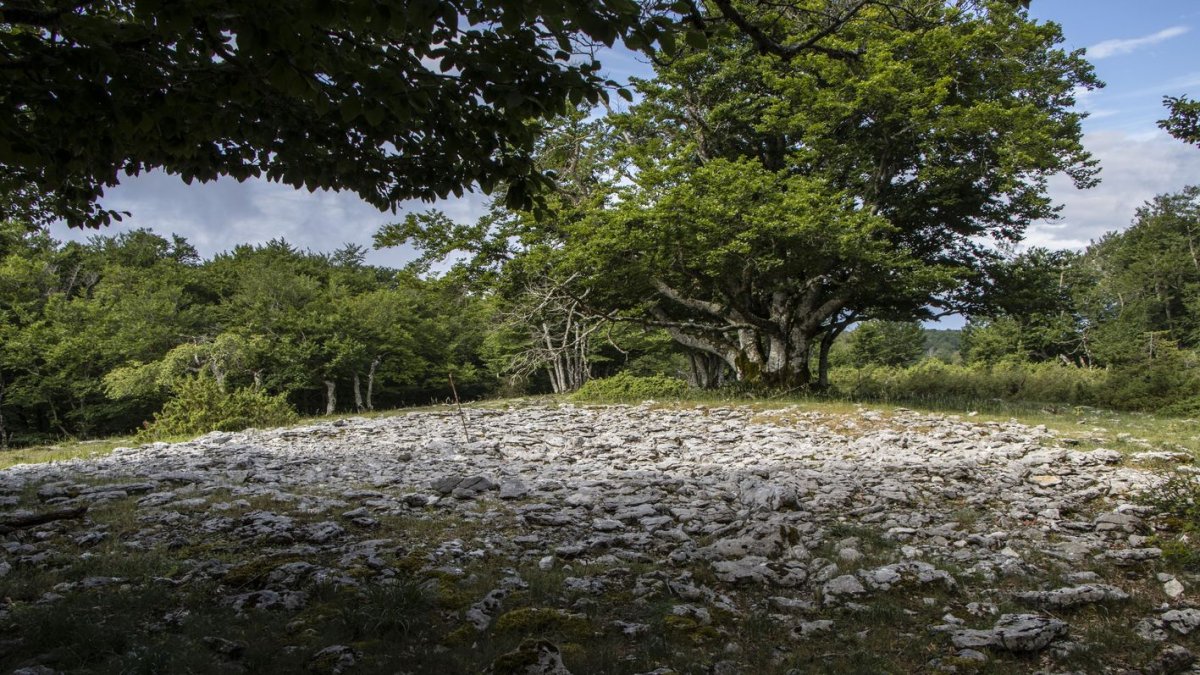 Urritzaga