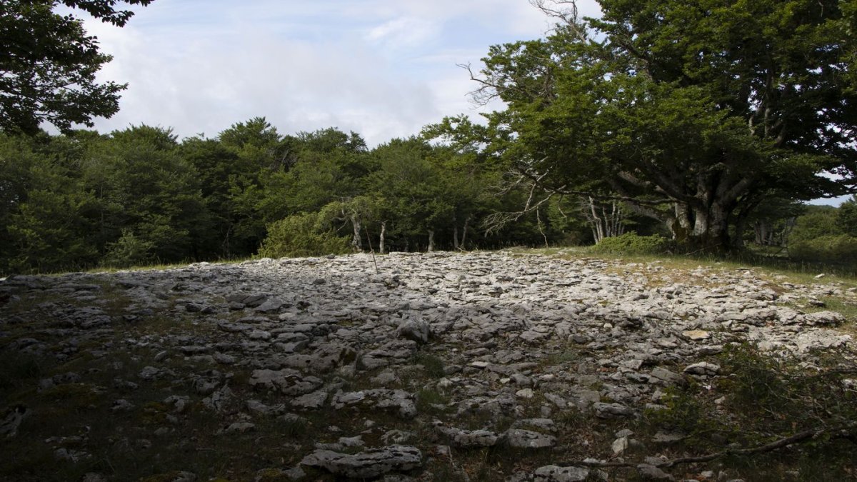 Urritzaga