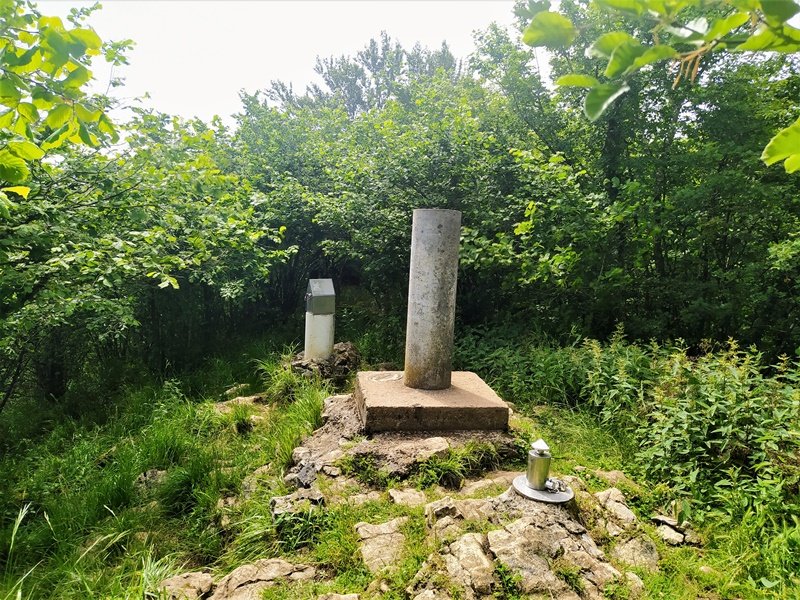 Tontorra