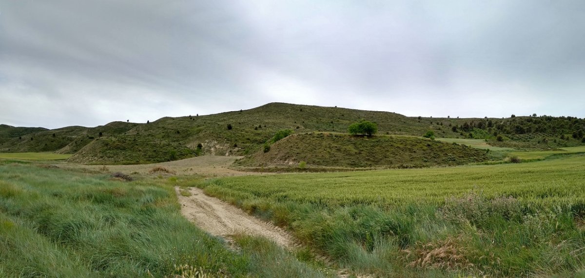 Monteayuso
