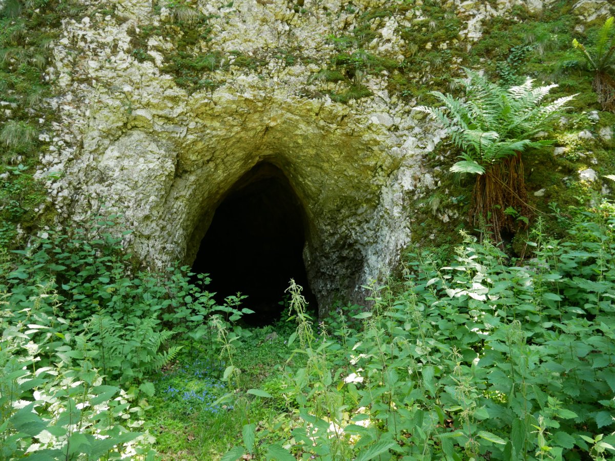 Sarrera