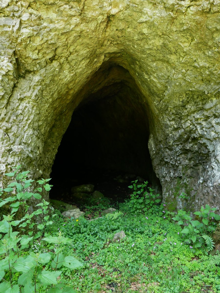 Sarrera