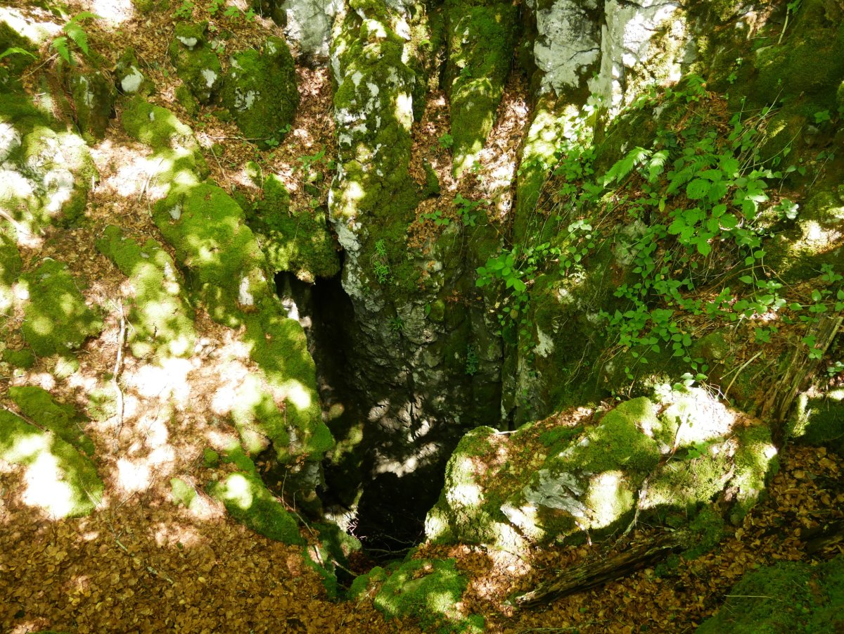 Iruxin leizea