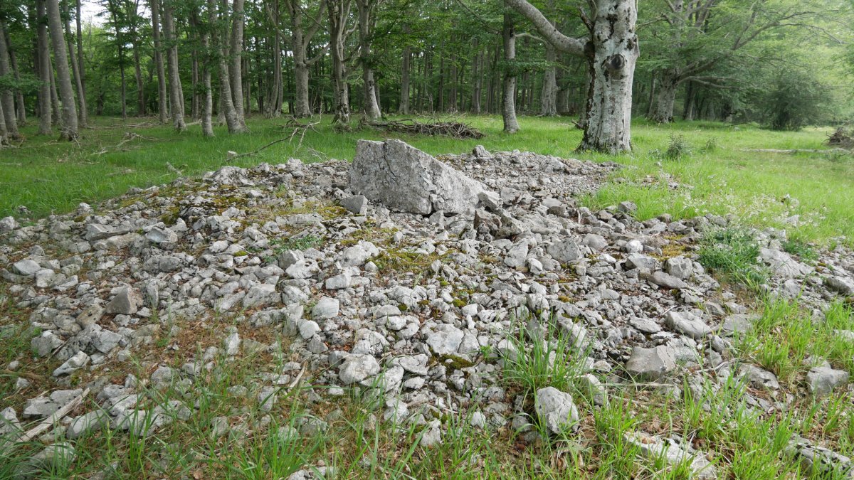 2021eko uztaila