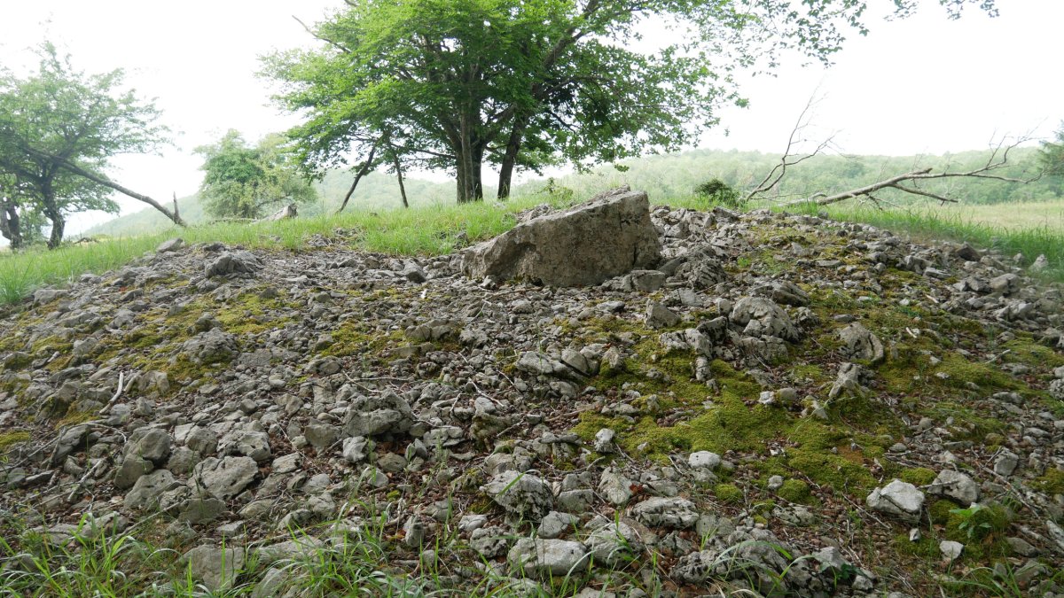 2021eko uztaila