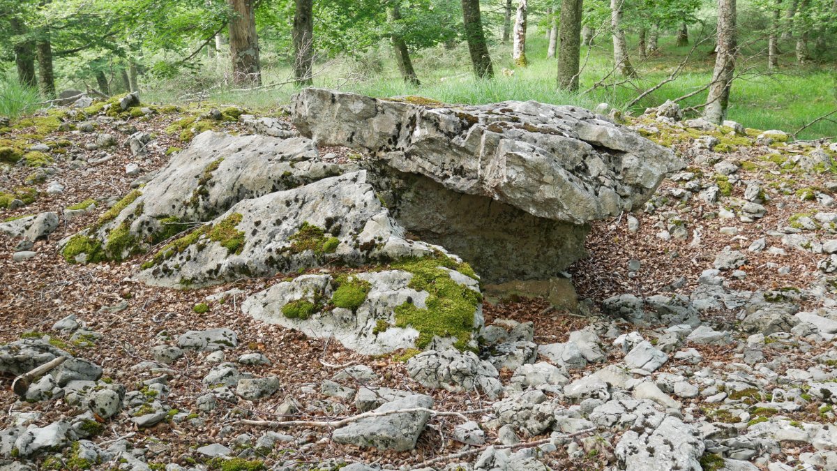 2021eko uztaila