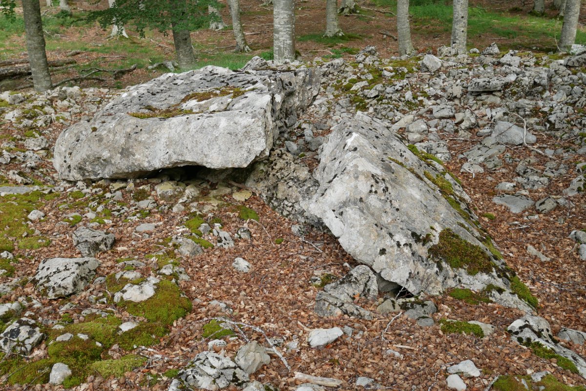 2021eko uztaila