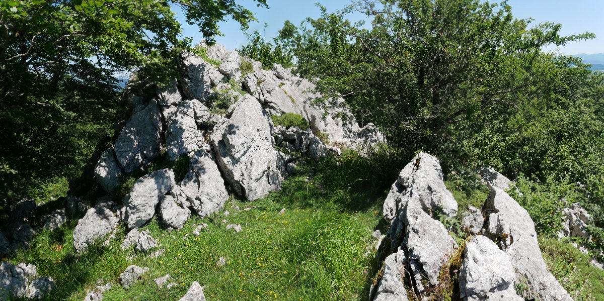 Txurtxur tontorra