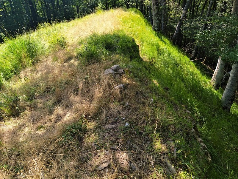 Tontorra