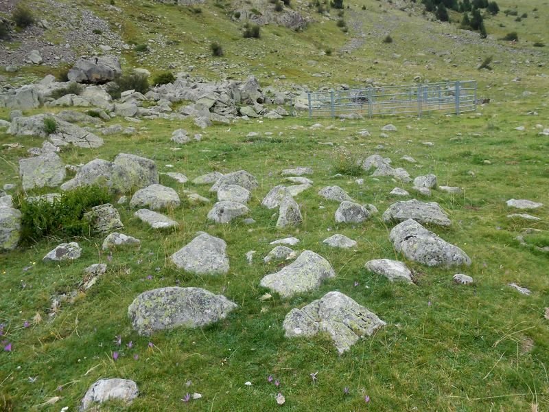 montañeta bergua 2