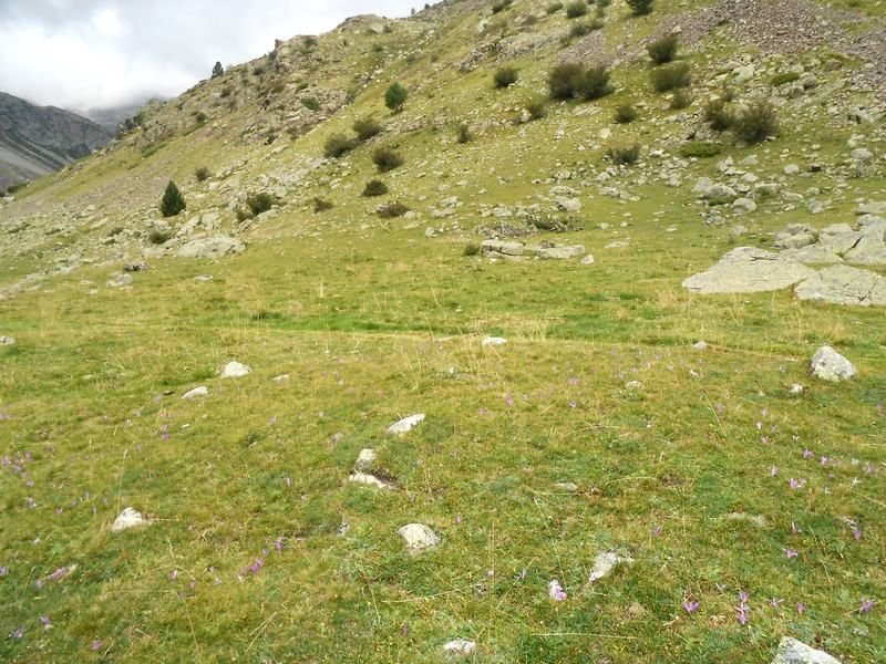 montañeta bergua 