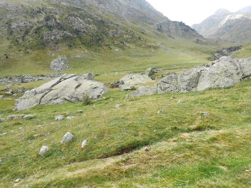 montañeta bergua 