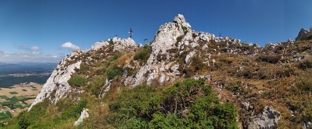 Tontorra