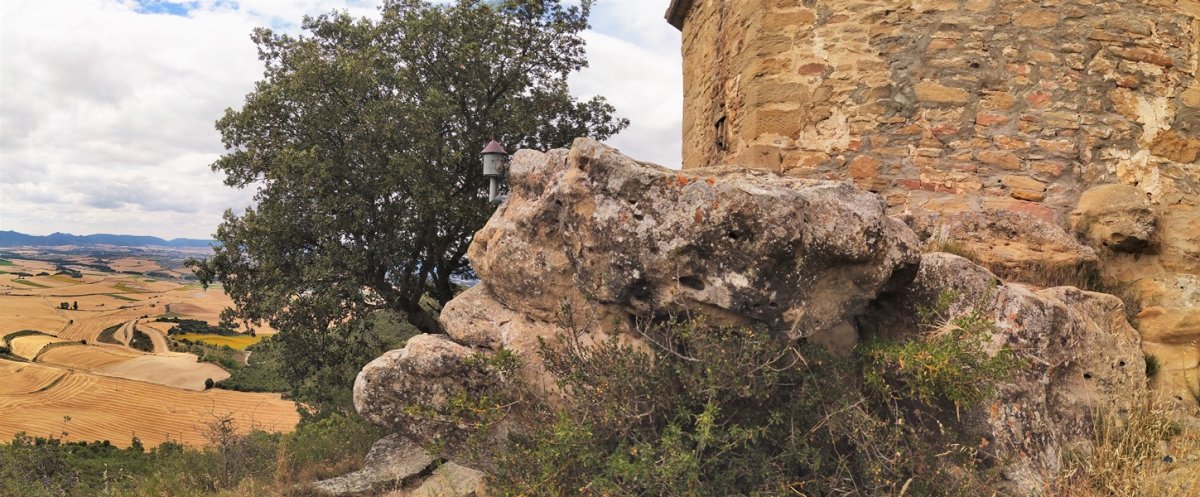 Tontorra