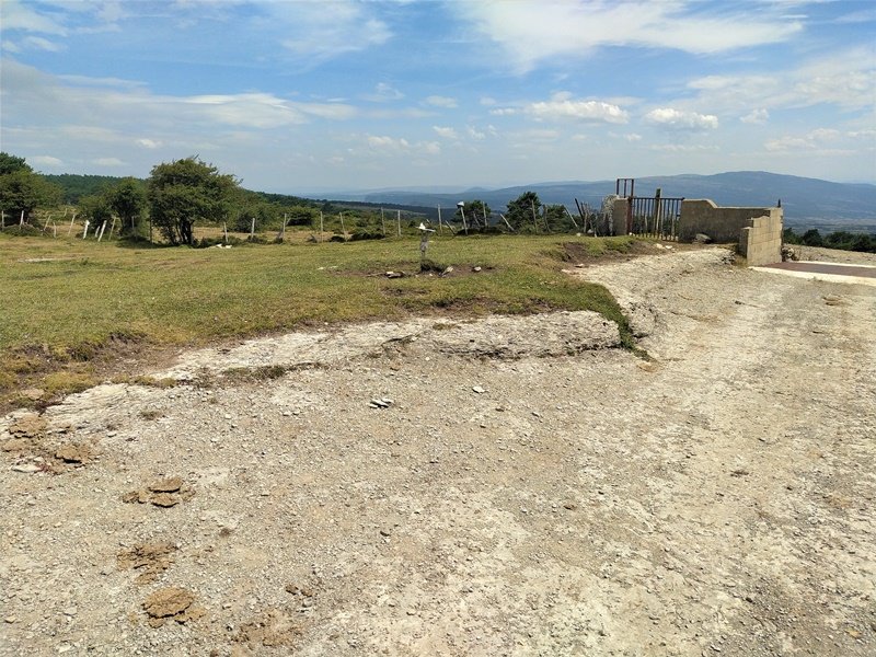 Tontorra