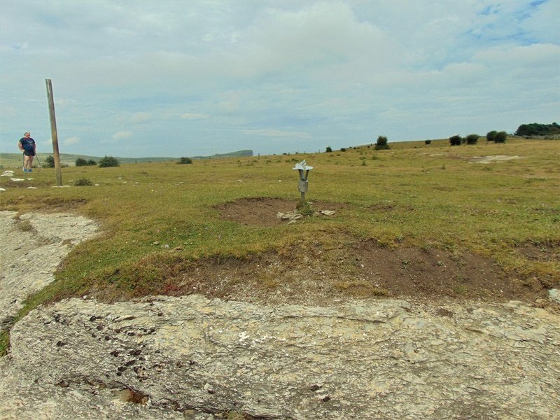 Tontorra