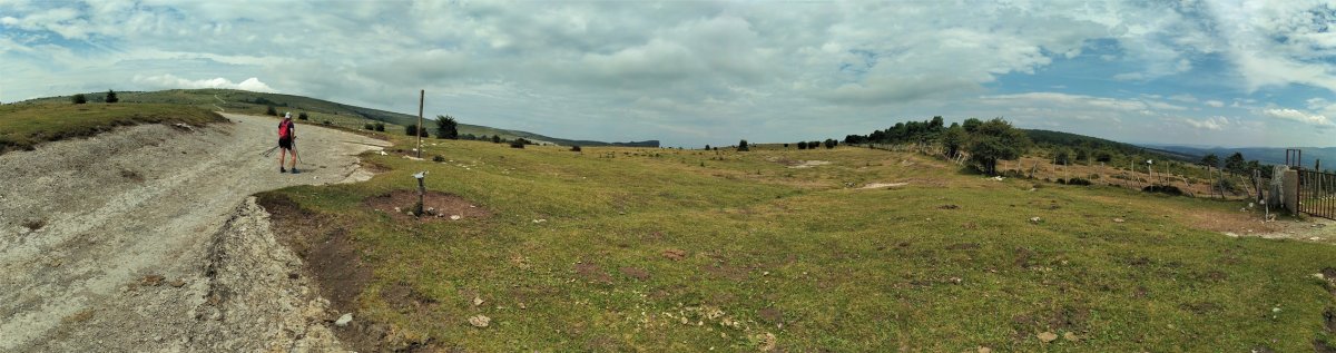 Tontorra
