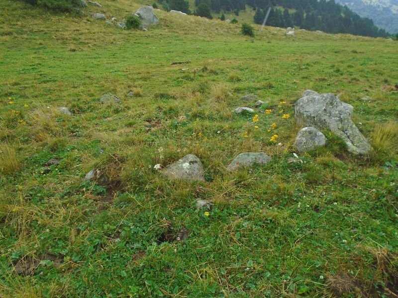 la coma