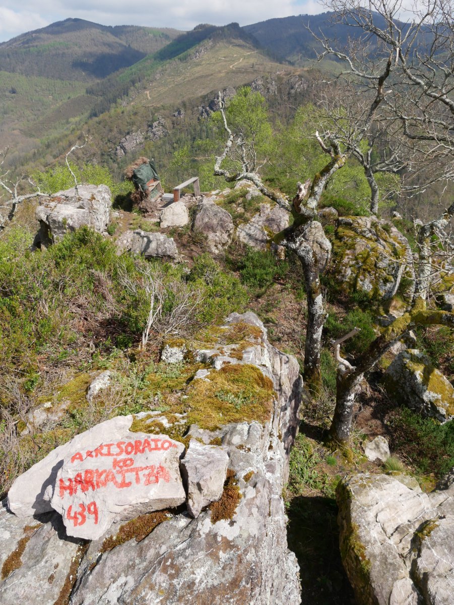 Tontorra