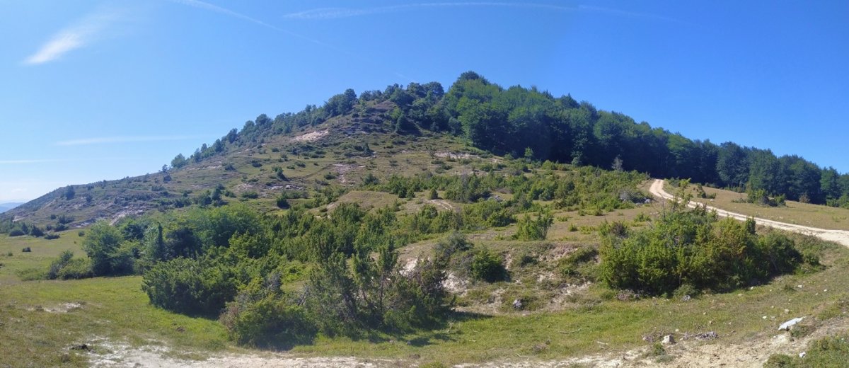 Arluzea Lepotik