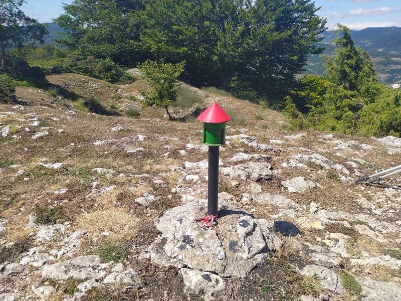 Buzoia