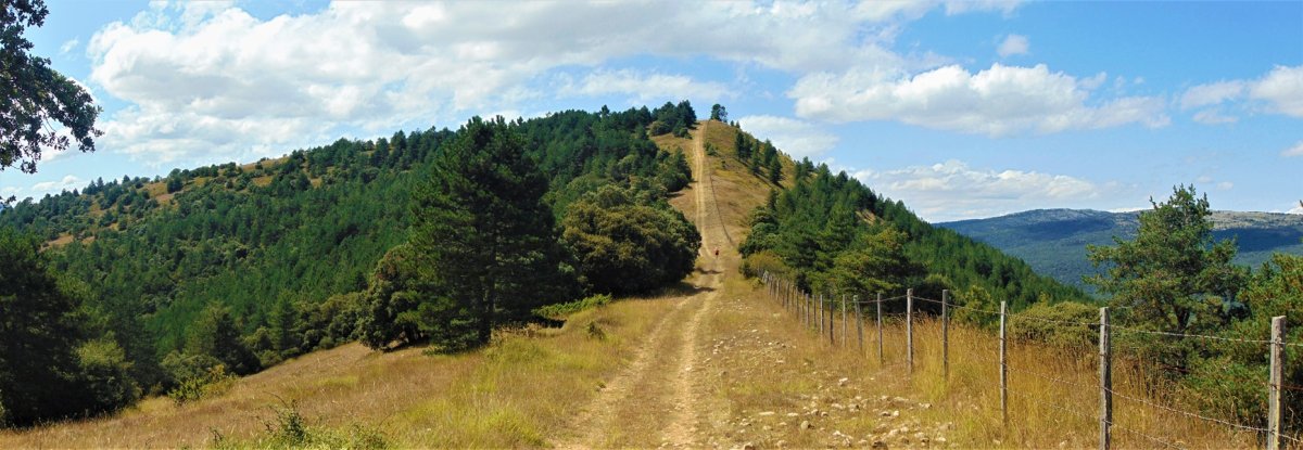 Cantoblanco