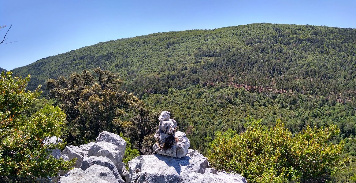 Gailurra, azkenean