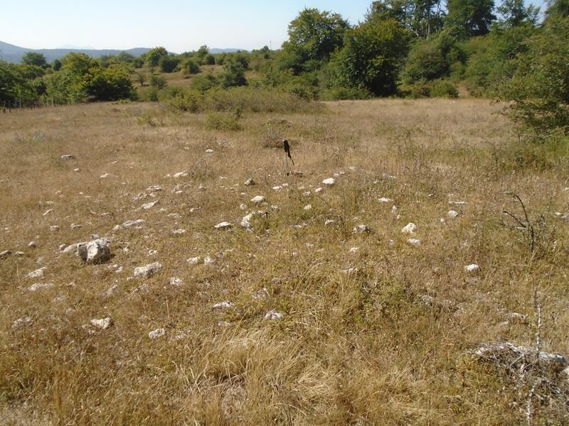 otatza 1
