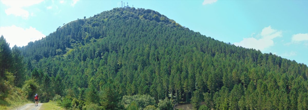 Montenegro/Peñalba